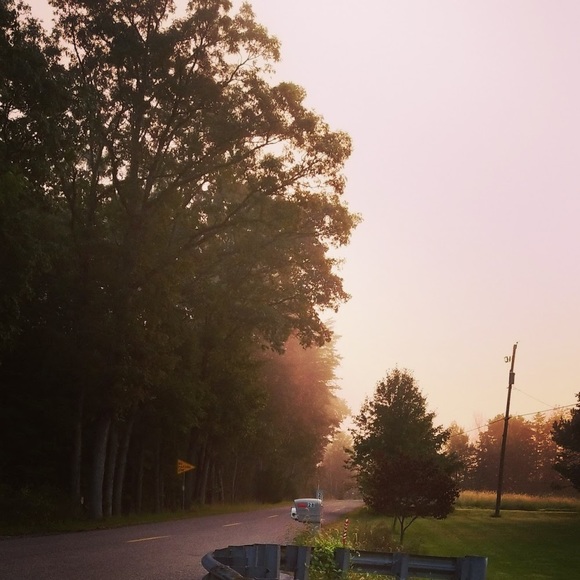 Meet your Posher, Tyler - Picture 1 of 1